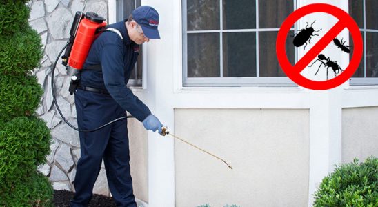 Karamürsel Bit İlaçlama böcek ilaçlama ve haşere kontrolü — ilaclama-tr.com